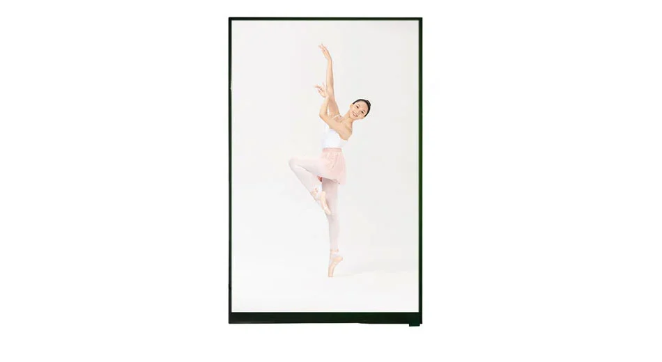 Z116001 Bar Typ 11,6 Zoll 1920*1080 IPS LCD Display LVDS-Schnitts telle TFT