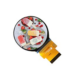 Z21001 480*480 2,1 Zoll LCD-Modul Display MIPI-Schnitts telle 30PIN IPS Ansicht