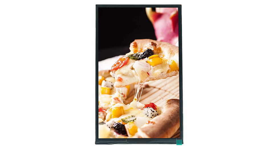 Z90019 9 Zoll LCD-Bildschirm 800*1280 350Nits 40PIN MIPI-Schnitts telle