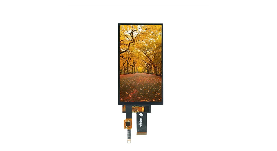 Z49421-ZC 5 Zoll kapazitives Touch-Display 720*1280 400 Nissen GH1001 GT911 IC MIPI IIC Interace