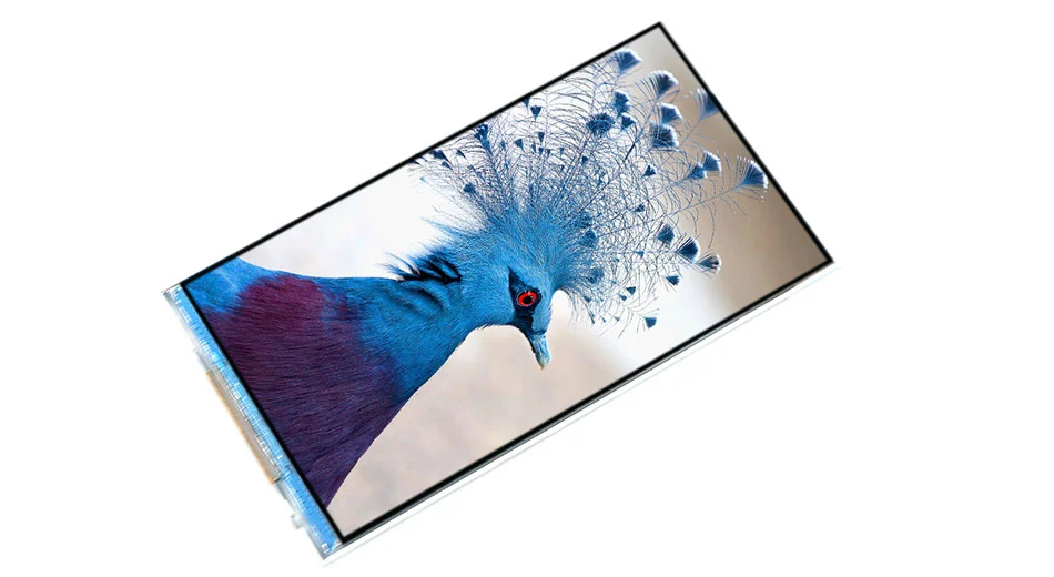 Z49399 500Nits 5 Zoll 480*854 TFT Display Bildschirm ST7701S Controller RGB SPI Schnitts telle