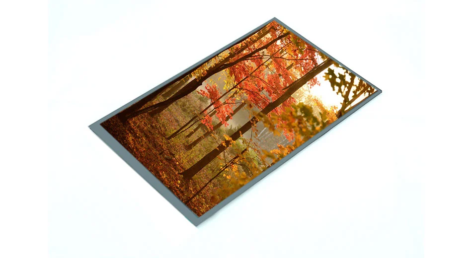 Z90006 9 Zoll 800*1280 500nits IPS LCD-Bildschirm MIPI-Schnitts telle TFT-Typ