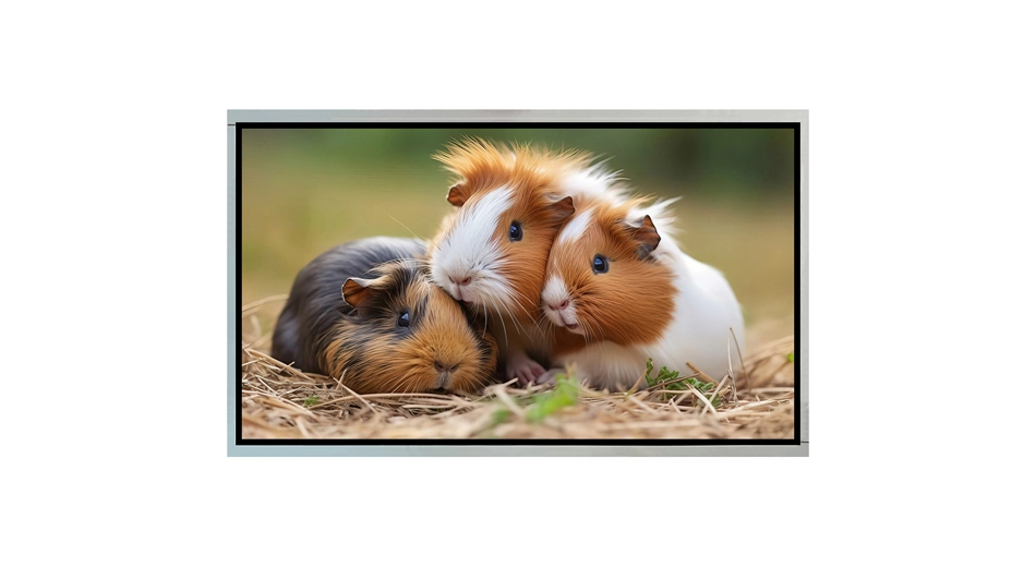 Z215001 21,5 Zoll Monitor-Bildschirm 1920x1080 LVDS-Schnitts telle Hochgeschwindigkeits-TFT-LCD